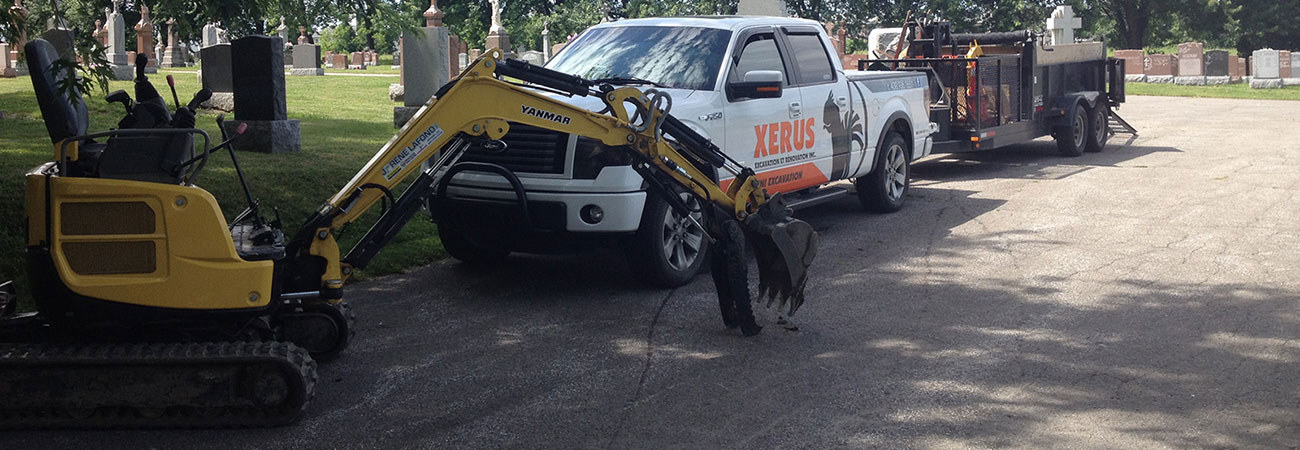 Excavation Xerus