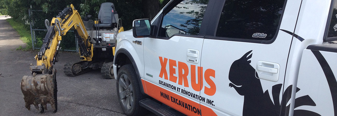Excavation Xerus